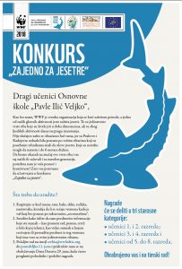 plakat za konkurs za Dan Dunava 203x300 - Children&rsquo;s contest &bdquo;Together for Sturgeons&ldquo; in Serbia